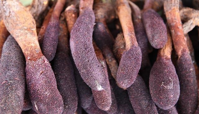 肾病|为何“肾病”越来越多?3物或是诱因,请撤离餐桌,忍住就是赢