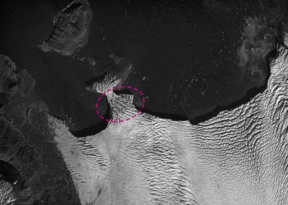「科学家」卫星发现一块“新陆地”，大量生物在此生存，科学家：并不是好事