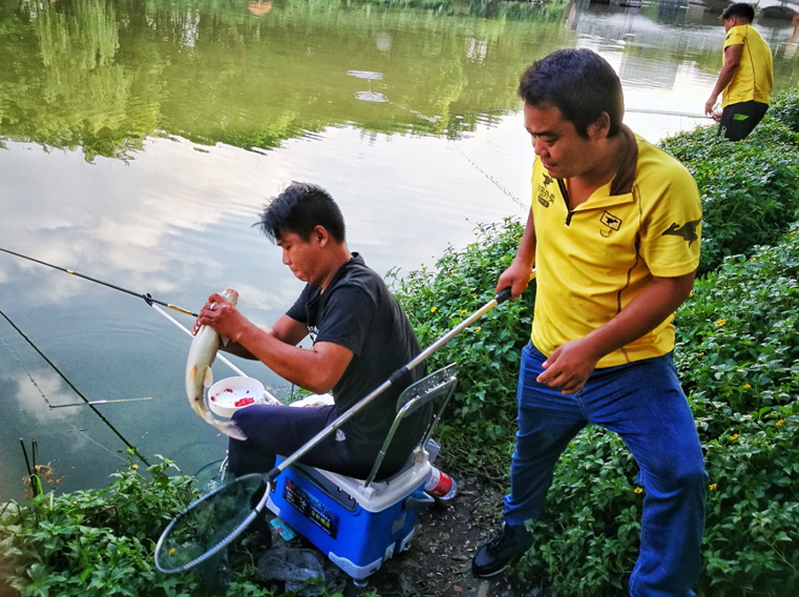 饵料|新手想学钓鱼,听听老钓鱼人总结的五条野钓经验,少走弯路