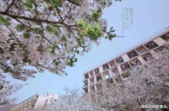 三线城市|“最折腾”的211大学,建校111年颠沛流离,扎根三线城市终于崛起