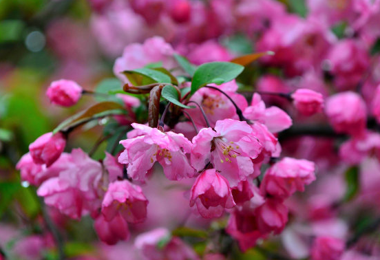 吉星|七月中旬得吉星加持,4属相升职掌权,收入增加,喜事接二连三