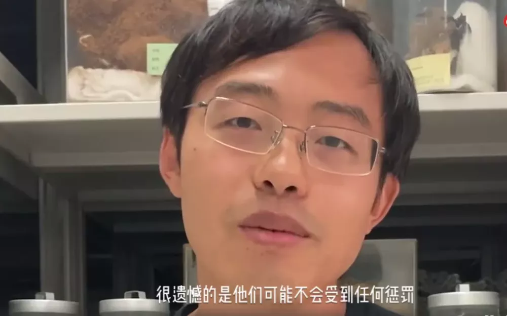 你好吴所畏|“中国最蠢的一群人”,都在这里了