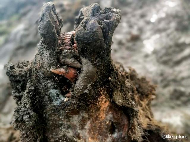 |西伯利亚又出宝贝了！它重达1吨，至少有3万年历史