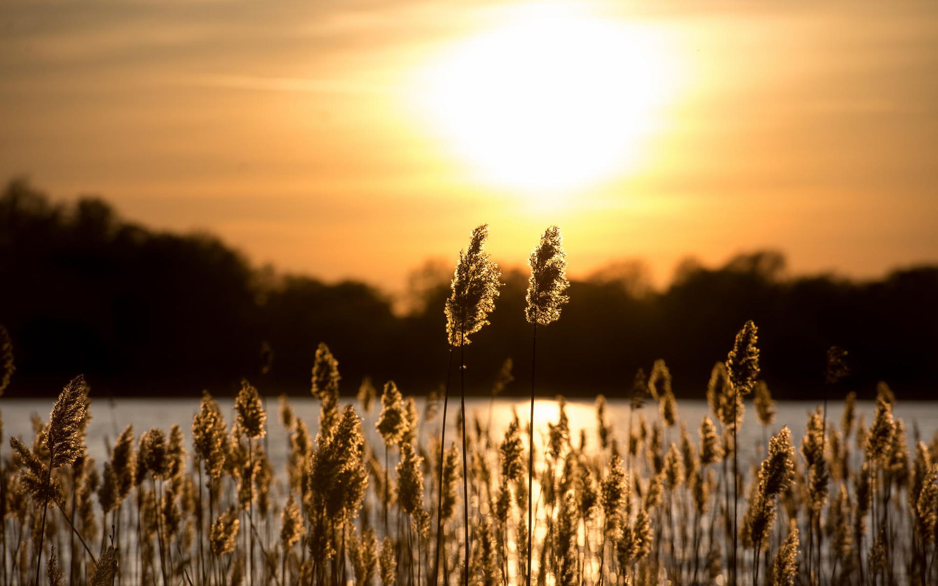 金牛座|八月份生肖运势出炉，这几个生肖注意了，你的桃花运离你不远了