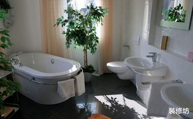 |卫生间当中不要出现4样东西，难怪入住进去，身体越来越差