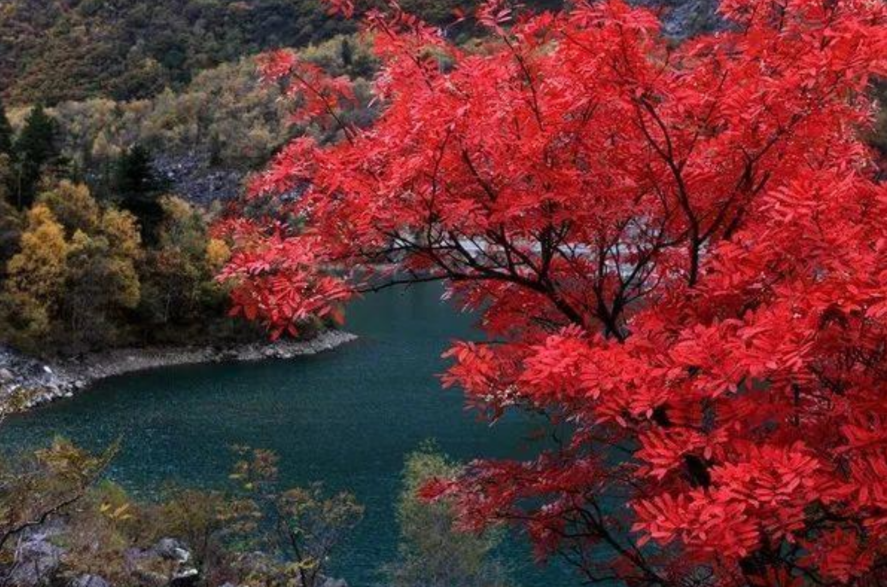 |川西藏了个“小九寨”：三沟九海十四景，金秋十月红满天！