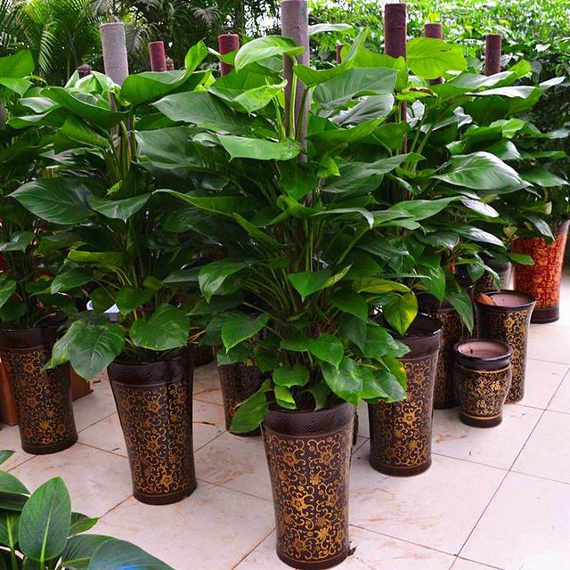 ##身体的2个信息说明你可能已经甲醛中毒，不及时治理可能危害更大