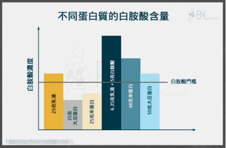 「蛋白质」【运动知识】增肌最重要的是什么？ | 增肌金字塔