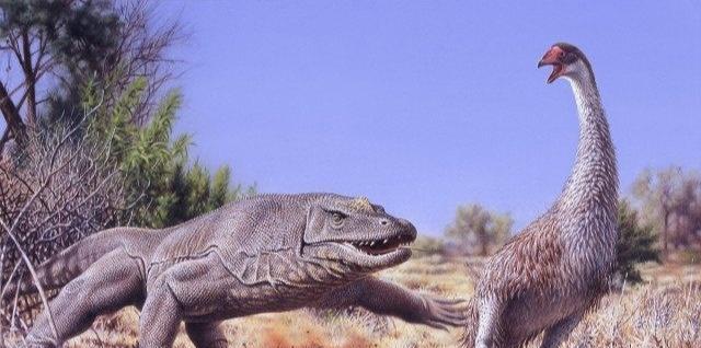 电影霸主@恐龙灭绝到人类出现，6千万年的空档期，谁主是地球霸主？