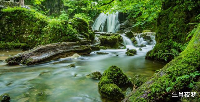 运势▲6月，钟爱一人，痴情一生，3生肖分分合合，兜兜转转再次点燃爱火