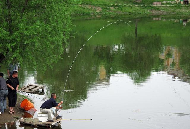 饵料|野钓打窝,很容易犯的6个错误,任何一个都有可能让你郁闷