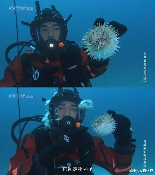 金城武|在抖音爆红的康巴小哥“翻车”了？“帅而不自知”的男星有多稀缺