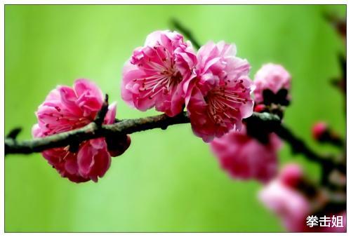 [生肖]最近七天，好事缠身，上有翻身大运，下有财神进门的3个生肖