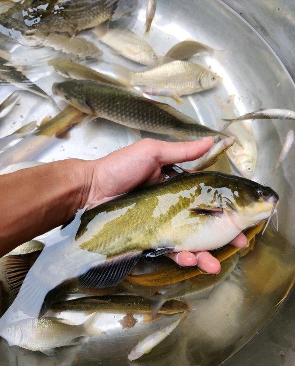 信息安全|杭州男子郊外钓鱼点外卖，外卖小哥赶到河边后：人呢？