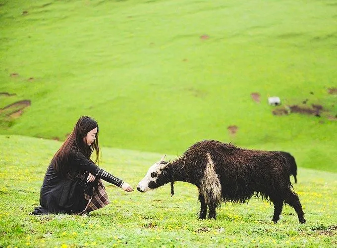 66号公路▲中国的66号公路！这条藏在川西的草原天路，每一帧都是流动的大片|思鹿旅行推荐