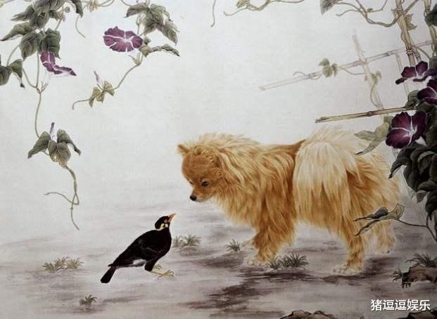 生肖|生肖狗：不出三天会遇到下面3个人，将是你一生的大贵人