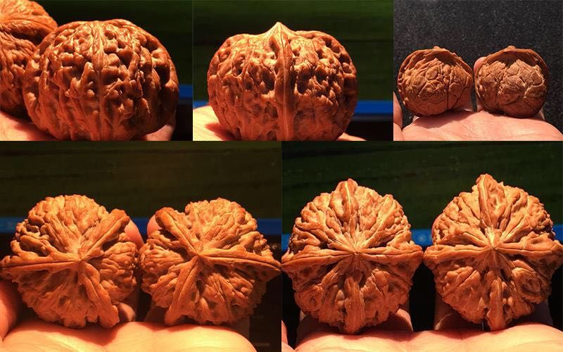 #文玩核桃#文玩核桃被误解的现象，是不是你也有过