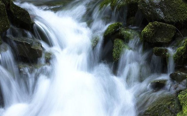 『狮子座』未来一个月乾坤扭转，3生肖吉中见吉，财上加财，收获大笔钱财！