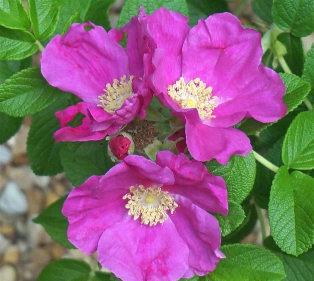 双鱼座|10月底，久旱逢雨，爱情宁缺毋滥，秋风袭来，真爱出现的4大星座