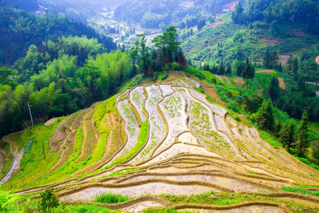 「旅行」5月最佳旅行地清单！10处绝美秘境，第一个就心动……