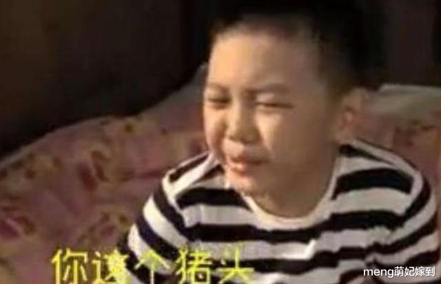 王艳|豪门难进？放弃演戏的王艳，家庭地位不如保姆？44岁为老公拼二胎