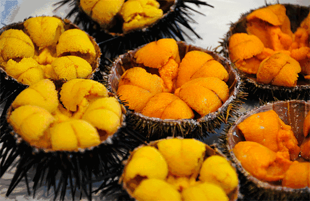 【重症监护室】明天最高礼遇迎接英雄！更详细线路公布！这些硬菜都安排上了