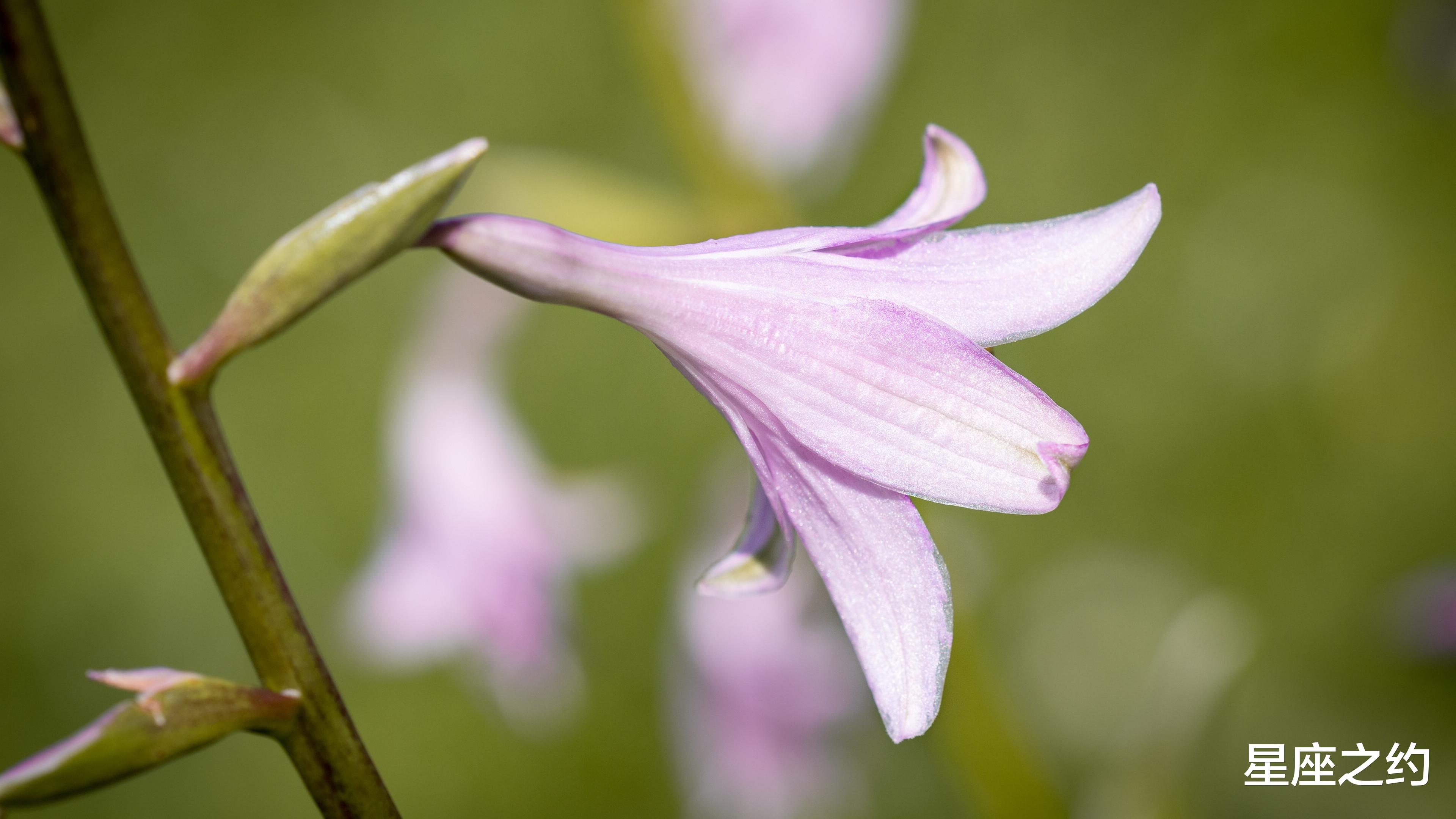 双子座|在10月下旬，重燃旧爱，再度相依，共续良缘的三大星座