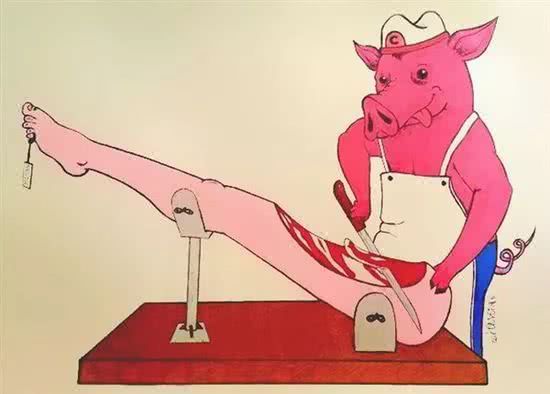 【】如果动物虐待人类组图