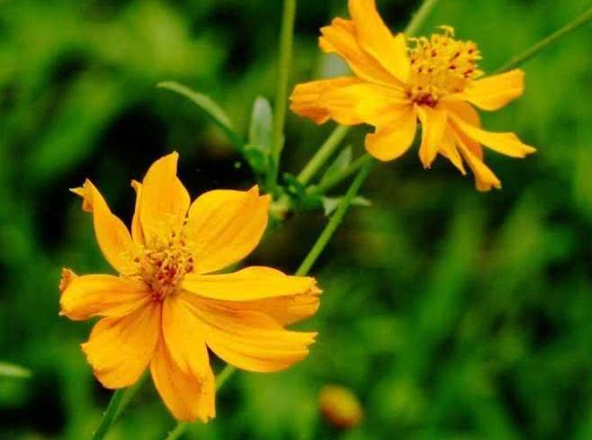 @6月下旬开始贵人指路，财门大开，事业有贵人助力的4大生肖