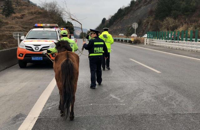 民警■突发！2小时内，近40辆车遭殃，派出30多名民警，耗费4小时救援