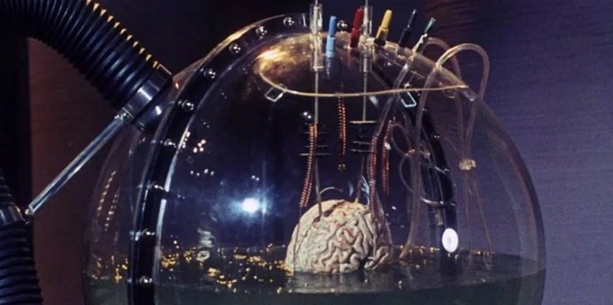 伊隆·马斯克|你并非真实存在的？马斯克：你生活在真实世界的几率仅十亿分之一