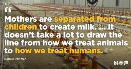 娜塔莉|13岁因《这个杀手不太冷》大火的娜塔莉，现在却成了众人的笑柄