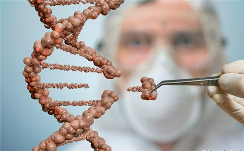 ▲23年前就造出了克隆羊，为何至今还没克隆人？看看羊的结局就懂了