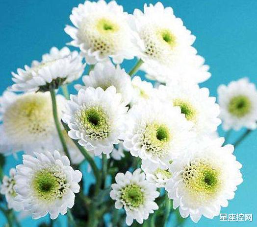 |出生在几月的人，手脑能并用，赚钱不太累，有发家致富的真本事