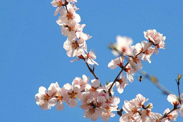 运势|8月底前,财富大门敞开,3属相赚钱轻松,手头宽裕,天天好心情!