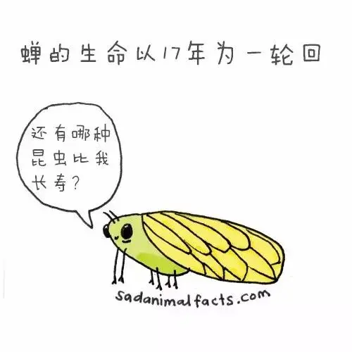 动物冷知识|这些动物冷知识,能知道五个就是大神了吧?