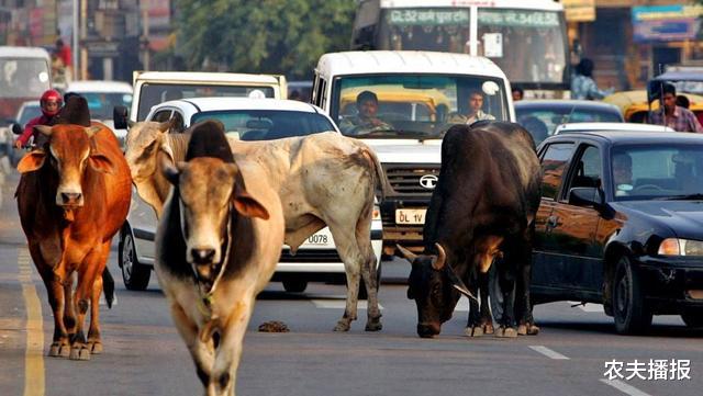 美国|西方推演未来世界格局，四个超级大国并立，美国将沦为第二强国