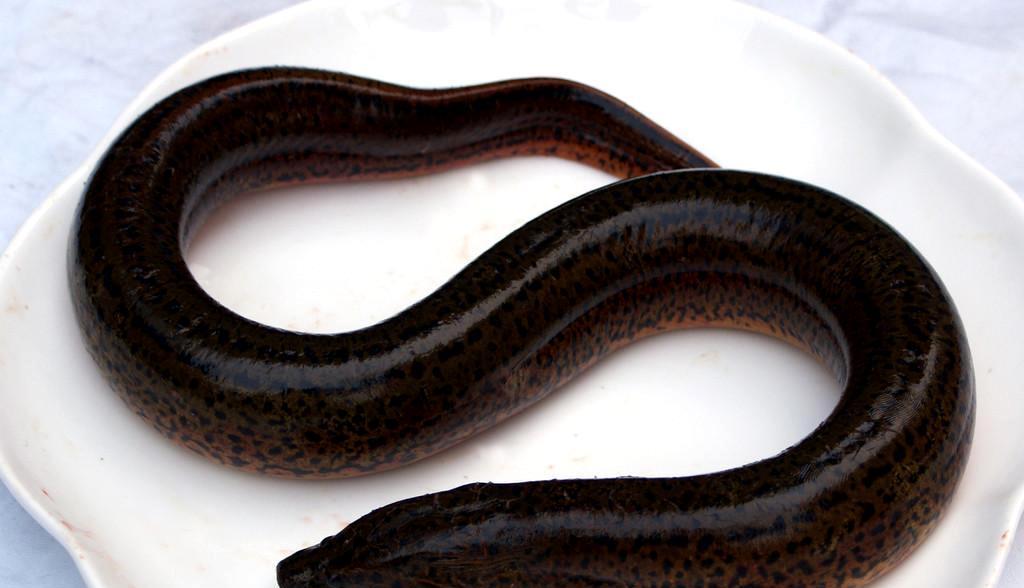 田螺■寄生虫最多的4种美食,聪明的人从来不吃,劝你最好远离