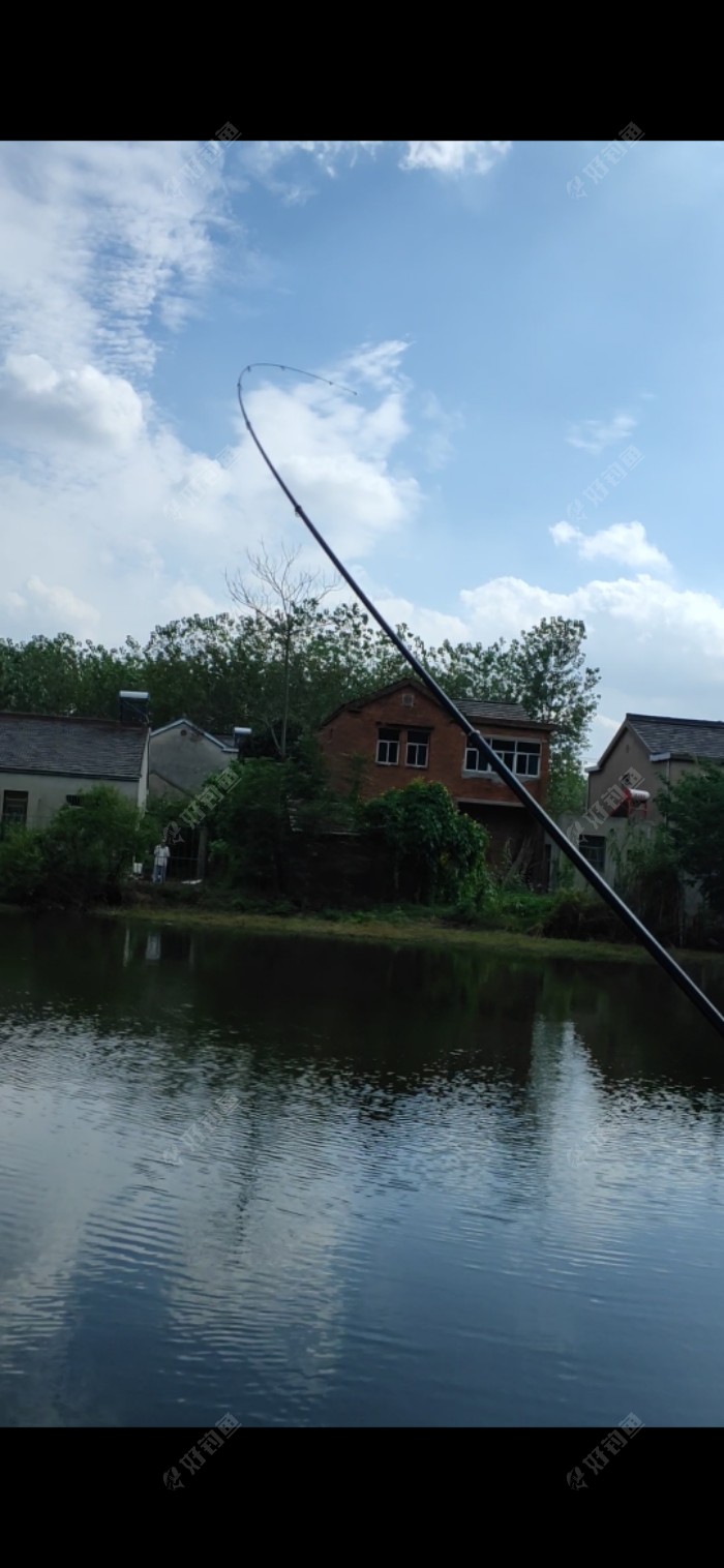 玉米|「垂钓纪实」 爆杆报仇之跑鱼连连……