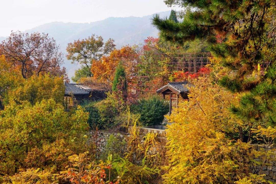 香格里拉|别再计划国庆出游了！金秋九月也是出门好时机，景点给你挑好了