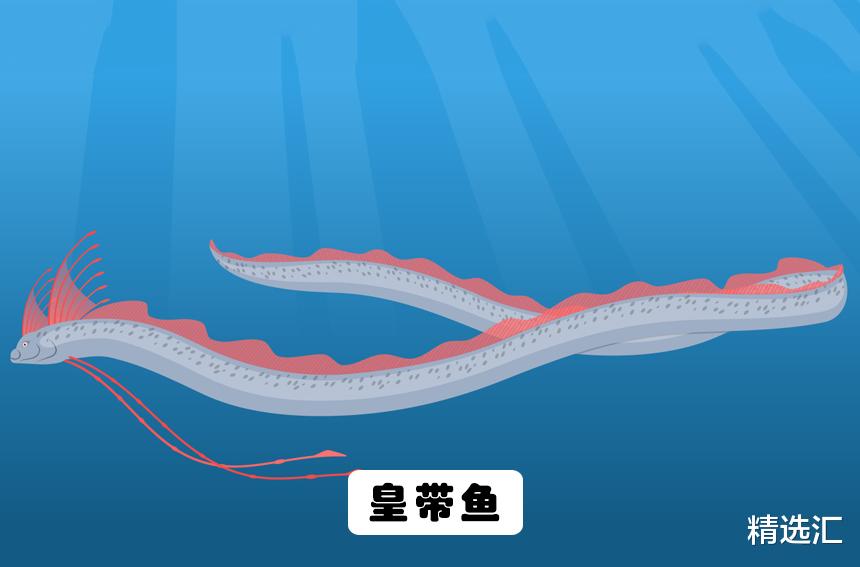 『章鱼』地球上存在着或存在过的10大海洋巨兽