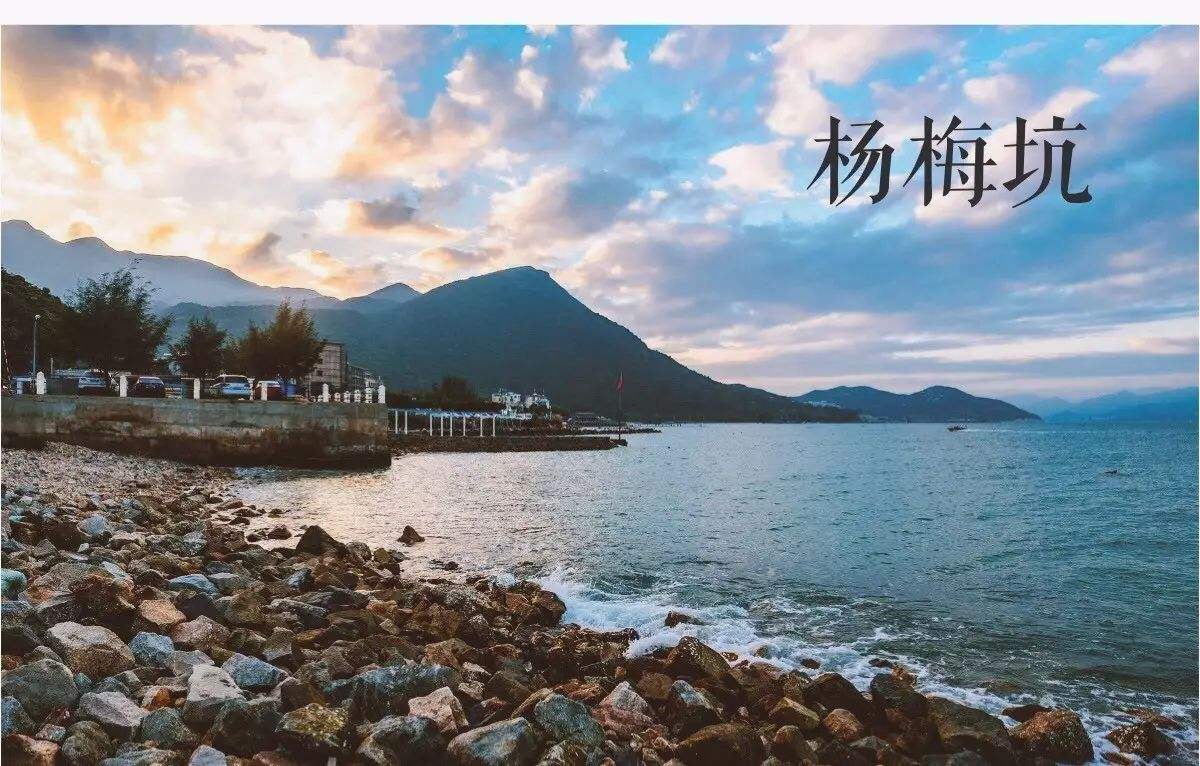 带货|80%深圳互联网公司团建，来来回回都是去大鹏