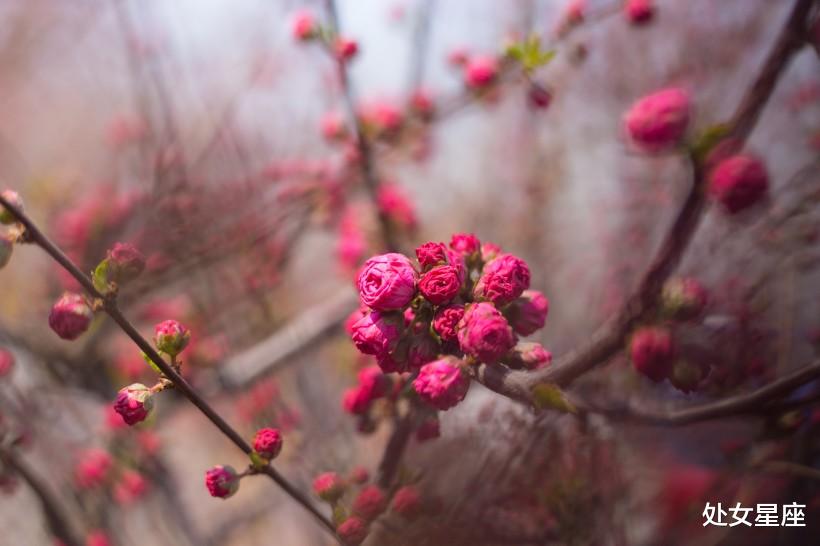 #生肖#这3大生肖，苦尽甘来不靠正财，彩票就能拿大奖