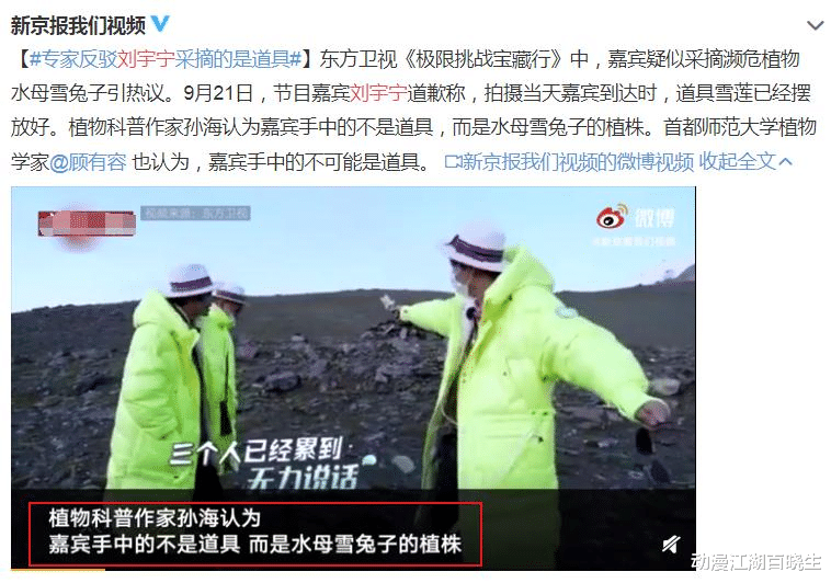 刘宇宁|极挑对刘宇宁的冷漠伤了其它嘉宾的心，也让我们明白了艺人的悲哀