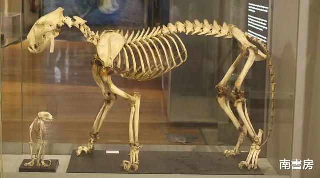 @北大“最孤独”的专业,一届只有1个人,共计实现了“六代单传”