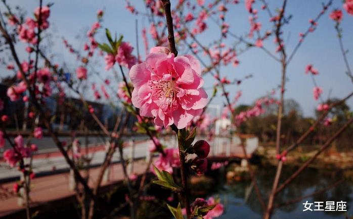 生肖:7月3号,财运追着跑,钞票堆成山,有房有车的3大生肖