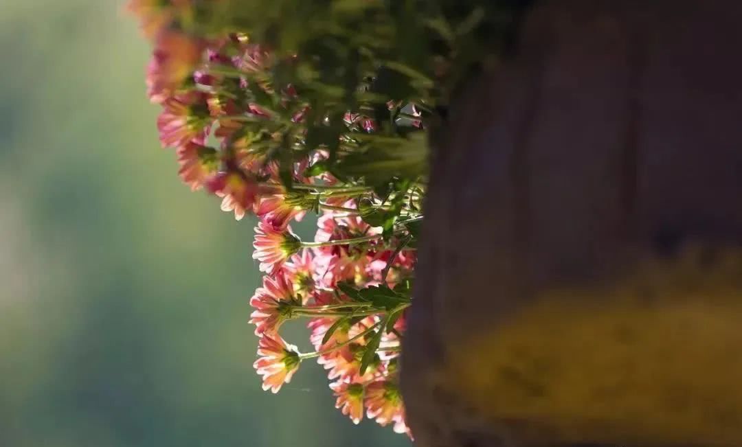 生肖▲4月渐入佳境，5月大富大贵躲不掉，4生肖财运光芒四射，开工遇贵人