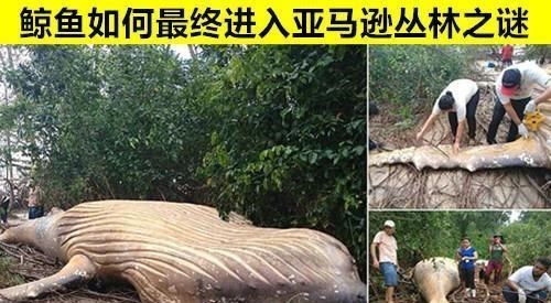 超自然|罕见的照片：在历史上，被人们成功拍摄到的8张“超自然”的照片