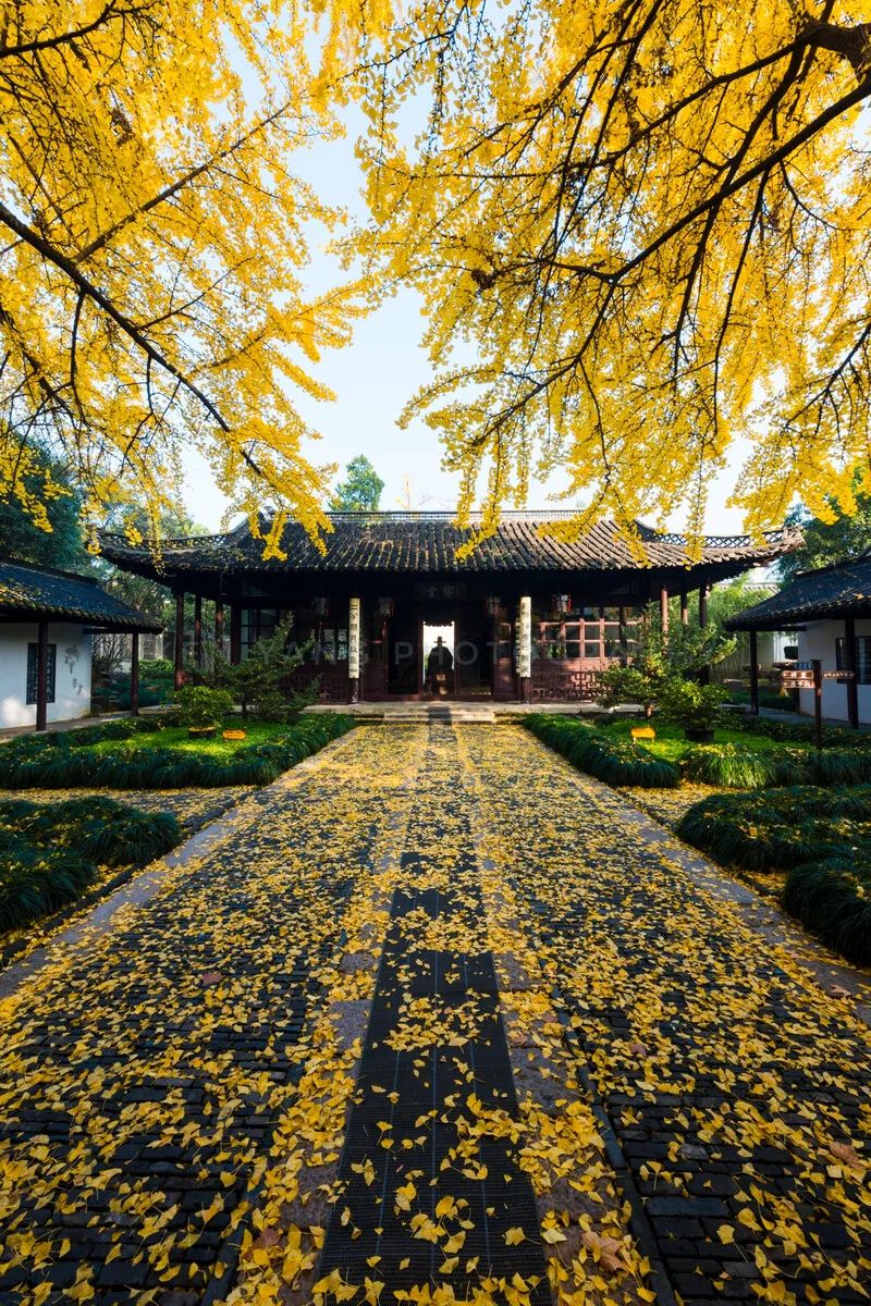 无法抗拒|比苏州秀美！原来它才是江南秋景第一，正适合去过几日慢生活！