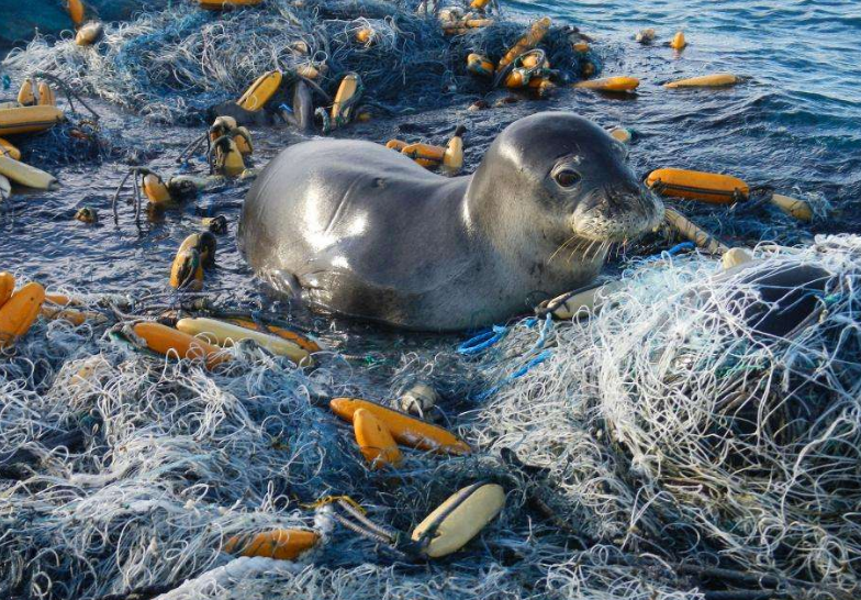 『科学家』中国在3千米海底拍到什么？照片公开后，各国科学家不淡定了！